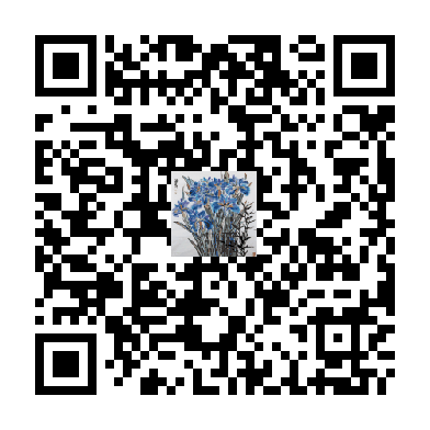 待添加